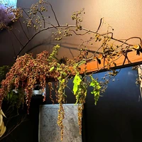 画像543