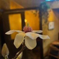 画像591