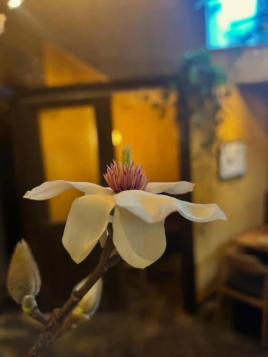 画像591